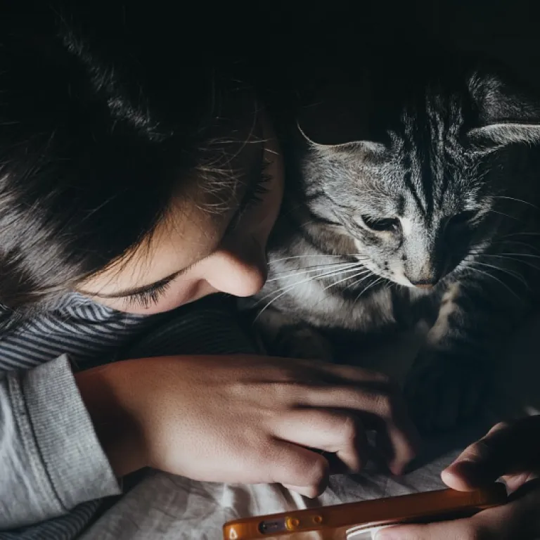 How a meowy xmas sweater trend is reshaping festive cat jewelry