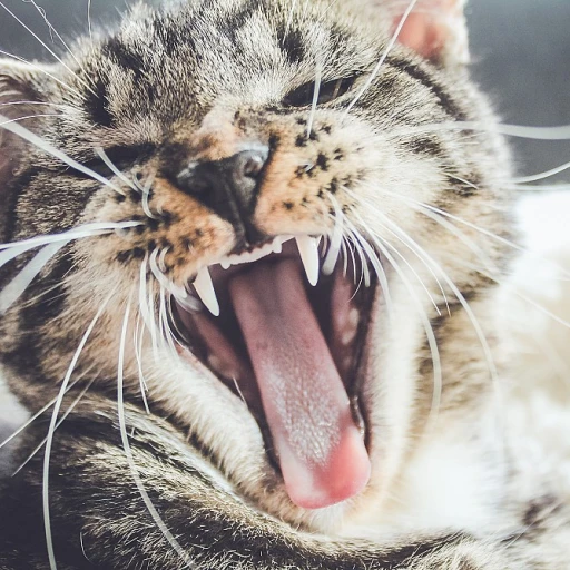 The Green Paws Movement: Is Biodegradable Cat Jewelry the Answer to Eco-Friendly Pet Accessories?