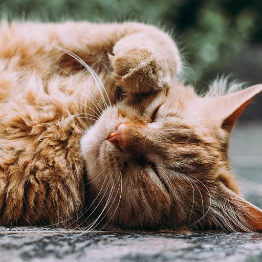 Exploring the Charm of Cat Tote Accessories